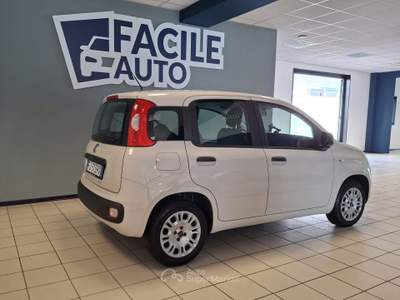 Fiat Panda Lounge Beige usata Oleggio