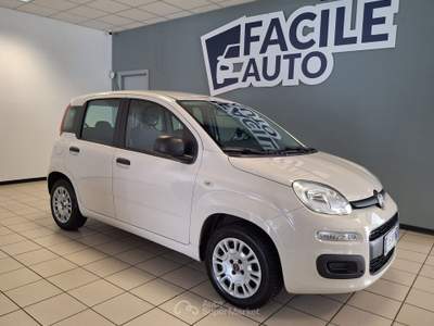 Fiat Panda Lounge Beige usata Oleggio