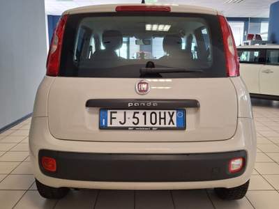 Fiat Panda Lounge Beige usata Oleggio