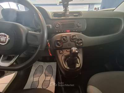 Fiat Panda Lounge Beige usata Oleggio