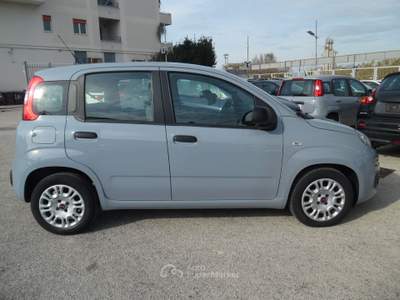 Fiat Panda FireFly S&S Hybrid Grigio usata Qualiano