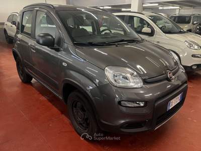 Fiat Panda Panda 0.9 t.air t. Wild 4x4 s Grigio usata Corteno Golgi