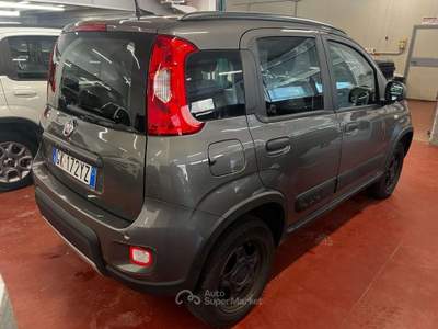 Fiat Panda Panda 0.9 t.air t. Wild 4x4 s Grigio usata Corteno Golgi
