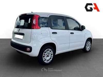 Fiat Panda 1.2 69cv S&S E6d-Temp Easy usata Ercolano