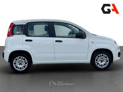Fiat Panda 1.2 69cv S&S E6d-Temp Easy usata Ercolano