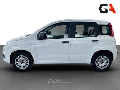 Fiat Panda 1.2 69cv S&S E6d-Temp Easy usata Ercolano