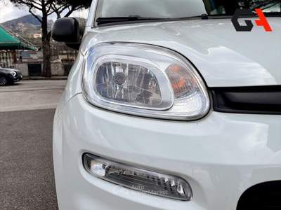 Fiat Panda 1.2 69cv S&S E6d-Temp Easy usata Ercolano