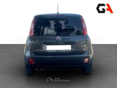 Fiat Panda Panda 1.2 easypower Gpl s&s 69cv Grigio usata Ercolano