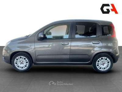 Fiat Panda Panda 1.2 easypower Gpl s&s 69cv Grigio usata Ercolano