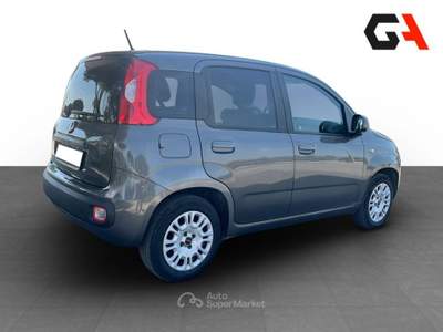 Fiat Panda Panda 1.2 easypower Gpl s&s 69cv Grigio usata Ercolano