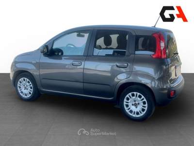 Fiat Panda Panda 1.2 easypower Gpl s&s 69cv Grigio usata Ercolano