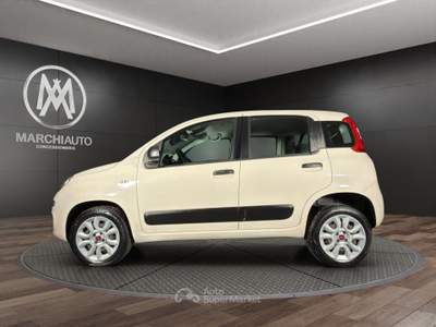 Fiat Panda 0.9 TwinAir Turbo Natural Power Easy Beige usata Bastia Umbra