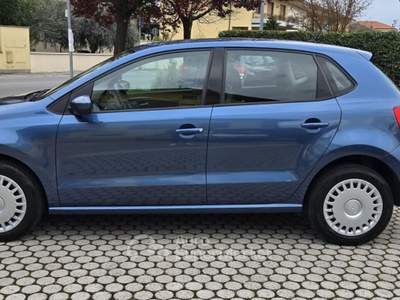 Volkswagen Polo 5p. Business Blu/Azzurro usata Pieve a Nievole