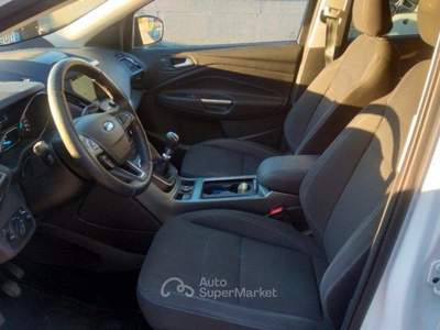 Ford Kuga 1.5 TDCI 120 CV S&amp;S 2WD Titanium Business Bianco usata Bibbiano