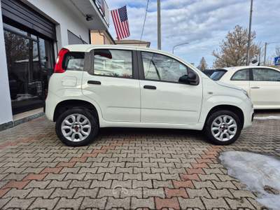 Fiat Panda Fiat Panda 0.9 TwinAir Turbo Natural Power Easy Bianco usata Ravenna