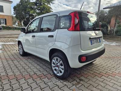 Fiat Panda Fiat Panda 0.9 TwinAir Turbo Natural Power Easy Bianco usata Ravenna