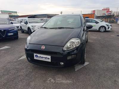 Fiat Punto FIAT PUNTO 1.3 M. JET 95 CV STREET Blu/Azzurro usata Pontecagnano Faiano