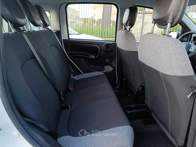 Fiat Panda FIAT PANDA 1.0 FIREFLY 70 CV S&S HYBRID CITY LIFE Bianco usata Pontecagnano Faiano