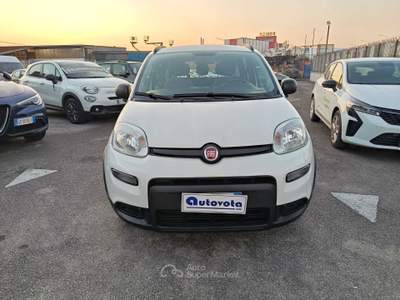 Fiat Panda FIAT PANDA 1.0 FIREFLY 70 CV S&S HYBRID CITY LIFE Bianco usata Pontecagnano Faiano
