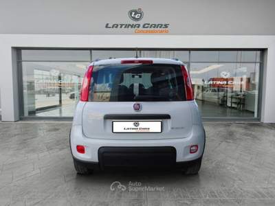 Fiat Panda 1.0 firefly hybrid City Life s&s 70cv NEOPATENTATI Bianco usata Latina