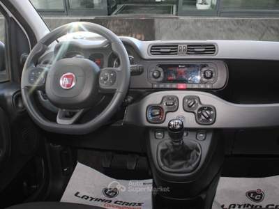 Fiat Panda 1.0 firefly hybrid City Life s&s 70cv NEOPATENTATI Bianco usata Latina