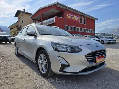 Ford Focus 1.5 EcoBlue 95 CV SW Business Grigio usata Lavis