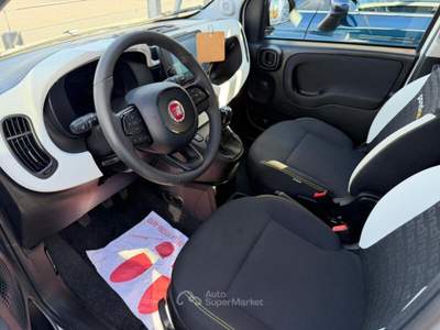Fiat Panda 1.0 FireFly S&S Hybrid Bianco usata Strambino