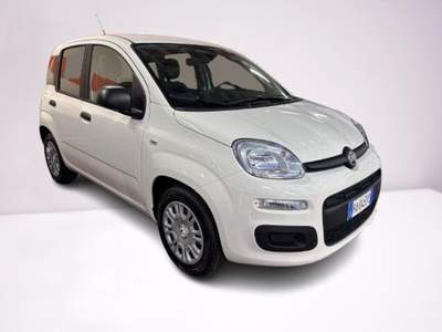 Fiat Panda 1.0 FireFly S&S Hybrid Pop Bianco usata Cagliari