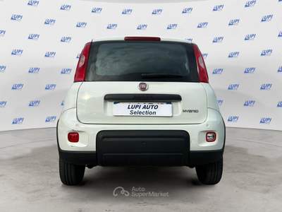 Fiat Panda 1.0 firefly hybrid s&s 70cv 5p.ti Bianco usata Pistoia