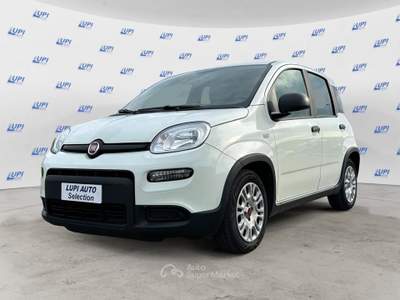 Fiat Panda 1.0 firefly hybrid s&s 70cv 5p.ti Bianco usata Pistoia
