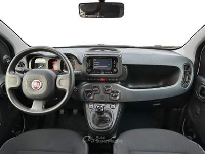 Fiat Panda 1.0 firefly hybrid s&s 70cv 5p.ti Bianco usata Pistoia
