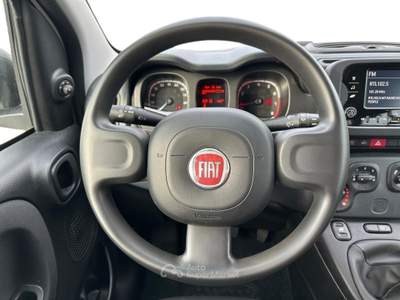 Fiat Panda 1.0 firefly hybrid s&s 70cv 5p.ti Bianco usata Pistoia