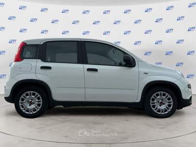 Fiat Panda 1.0 firefly hybrid s&s 70cv 5p.ti Bianco usata Pistoia