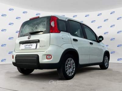 Fiat Panda 1.0 firefly hybrid s&s 70cv 5p.ti Bianco usata Pistoia