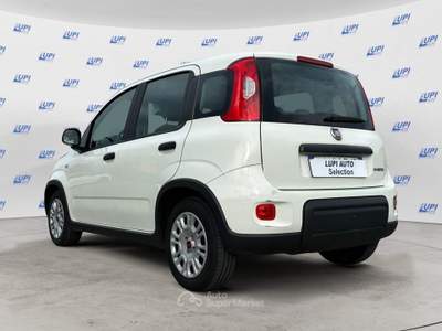 Fiat Panda 1.0 firefly hybrid s&s 70cv 5p.ti Bianco usata Pistoia