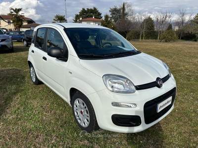 Fiat Panda Panda 1.0 FireFly S&S Hybrid City Life Bianco usata Montecchio Precalcino