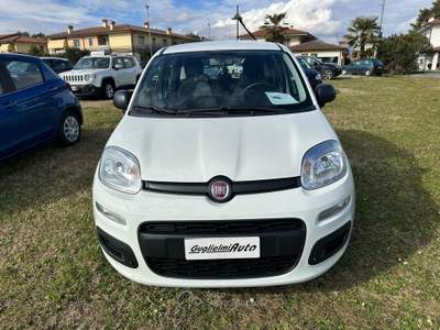 Fiat Panda Panda 1.0 FireFly S&S Hybrid City Life Bianco usata Montecchio Precalcino