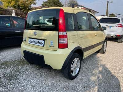 Fiat Panda 1.2 Climbing Natural Power Giallo usata Montecchio Precalcino