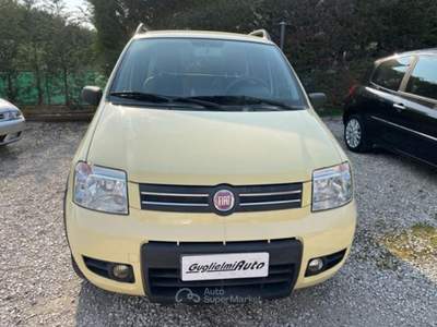 Fiat Panda 1.2 Climbing Natural Power Giallo usata Montecchio Precalcino