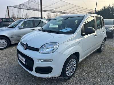 Fiat Panda Panda 1.2 Lounge Bianco usata Montecchio Precalcino