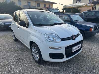 Fiat Panda Panda 1.2 Lounge Bianco usata Montecchio Precalcino