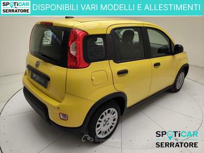 Fiat Panda III 2024 Panda 1.0 firefly hybrid s&s 70cv Giallo usata Erba