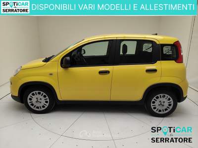 Fiat Panda III 2024 Panda 1.0 firefly hybrid s&s 70cv Giallo usata Erba