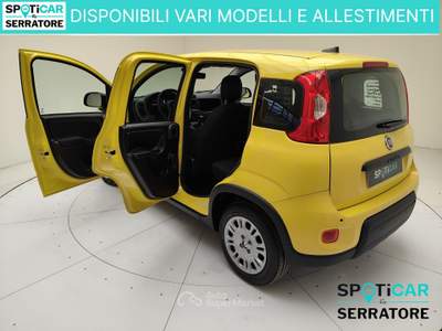 Fiat Panda III 2024 Panda 1.0 firefly hybrid s&s 70cv Giallo usata Erba