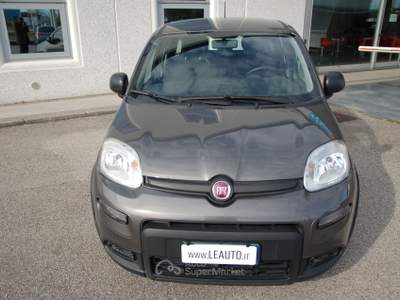 Fiat Panda 1.0 firefly hybrid Pari al nuovo, OK Neopatentati! Grigio usata Pordenone