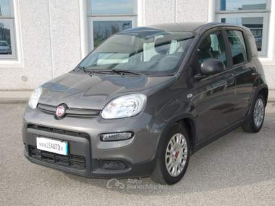 Fiat Panda 1.0 firefly hybrid Pari al nuovo, OK Neopatentati! Grigio usata Pordenone