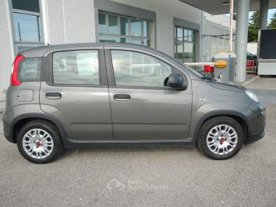 Fiat Panda 1.0 firefly hybrid Pari al nuovo, OK Neopatentati! Grigio usata Pordenone
