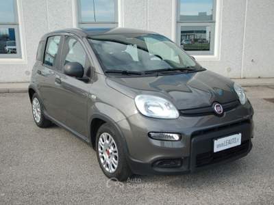 Fiat Panda 1.0 firefly hybrid Pari al nuovo, OK Neopatentati! Grigio usata Pordenone
