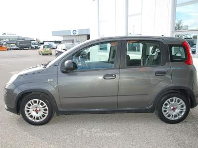 Fiat Panda 1.0 firefly hybrid Pari al nuovo, OK Neopatentati! Grigio usata Pordenone