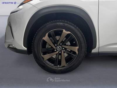 Lexus NX Nx Hybrid 4wd Luxury Argento usata Cassola